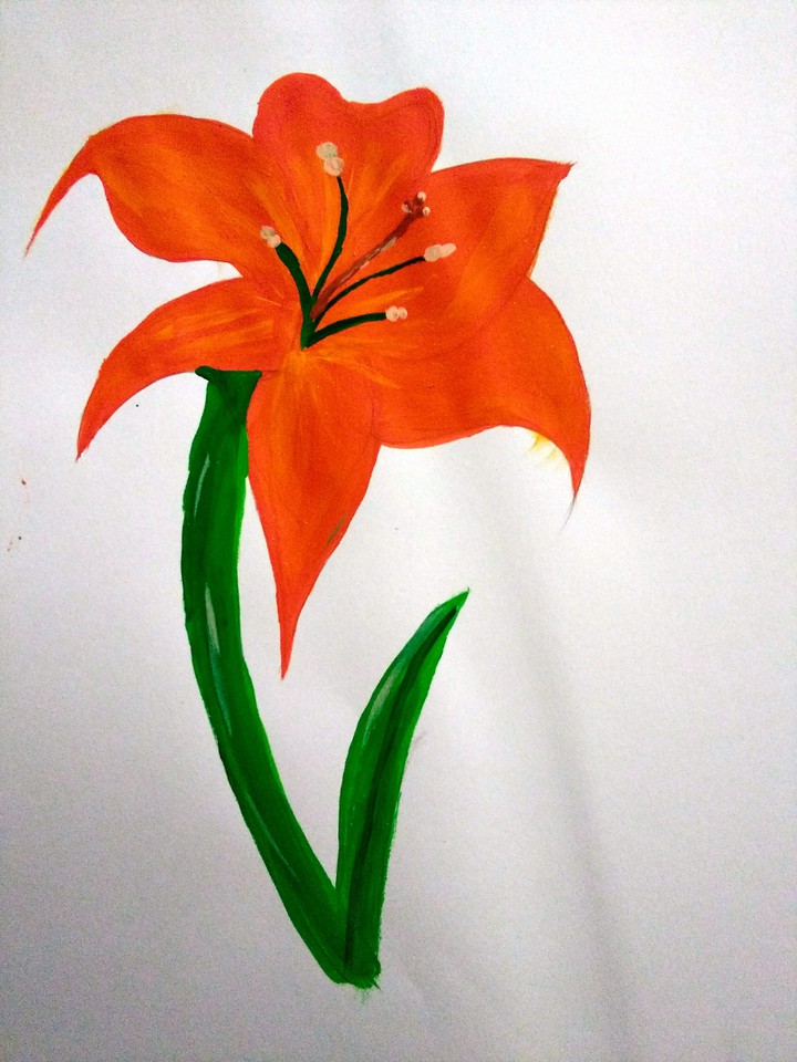 Flower