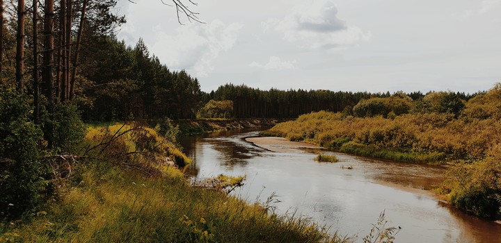 по течению