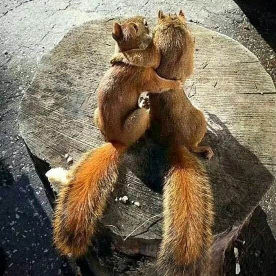 tendresse