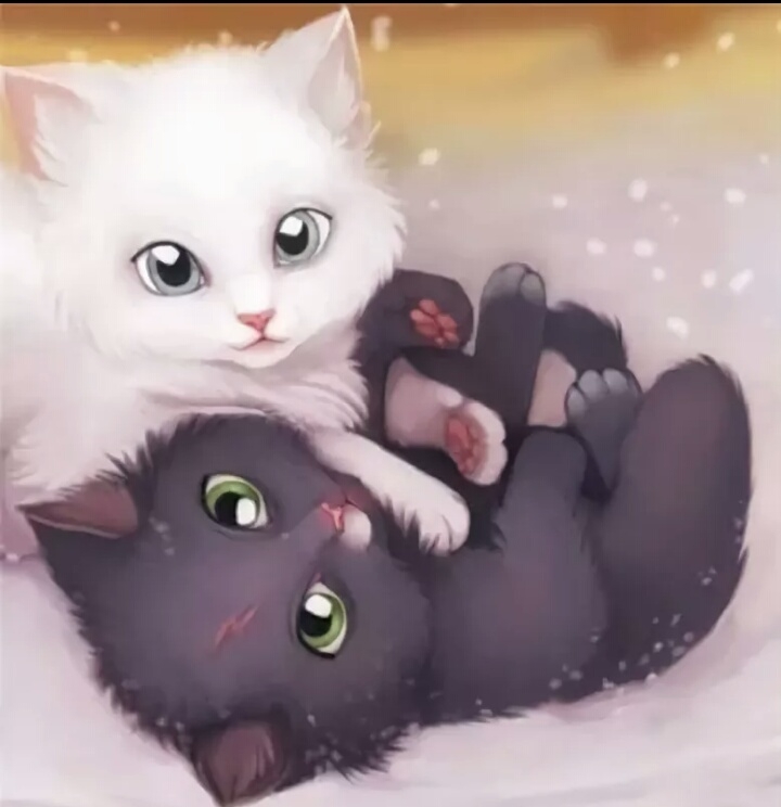 kitty