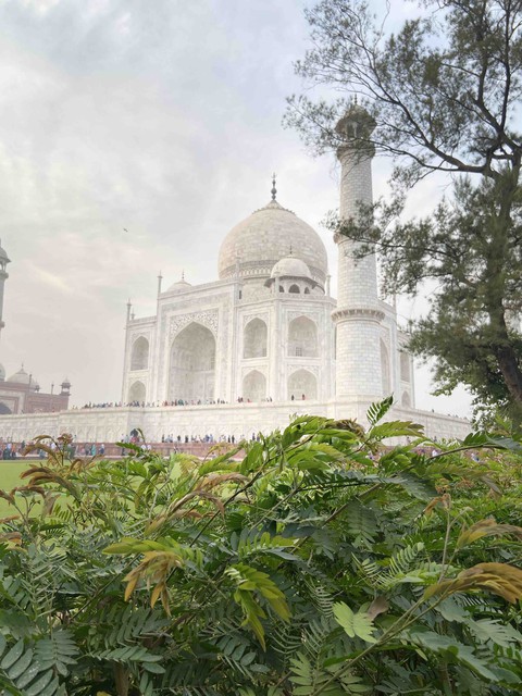 TajMahal