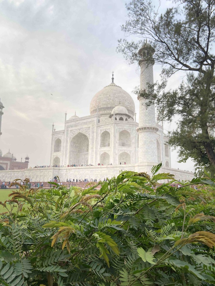 TajMahal