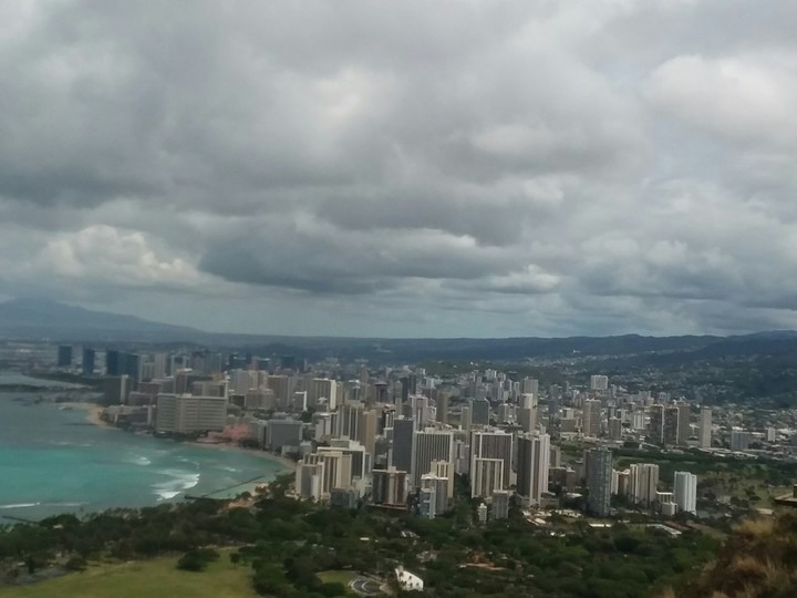 yolo