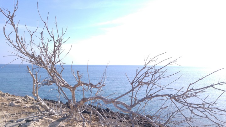 on nord cyprus