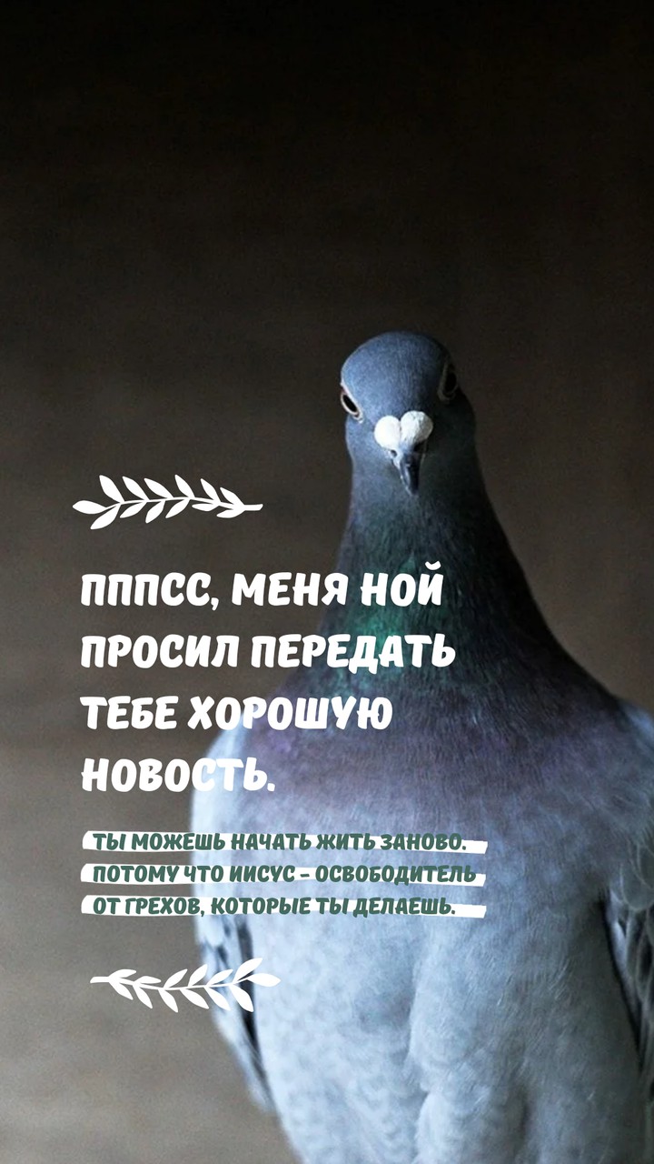 Хорошая новость ...