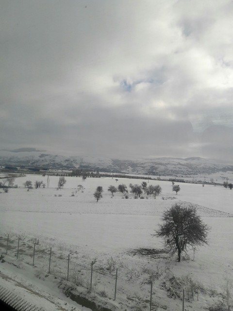 Train Travel ~