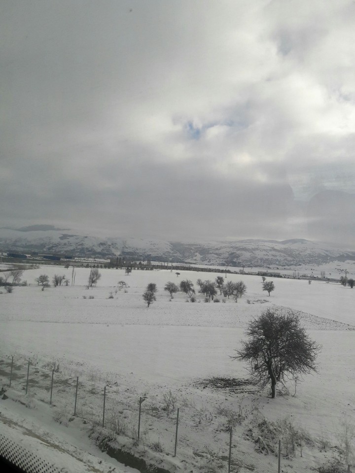 Train Travel ~