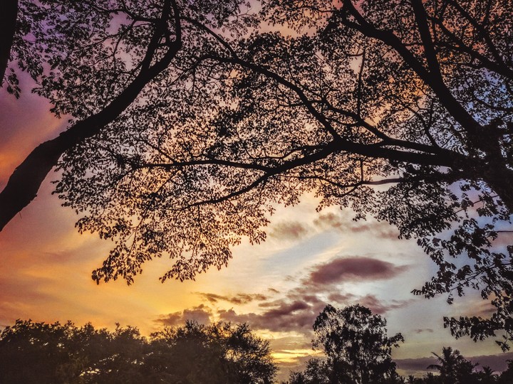 Evening sun set