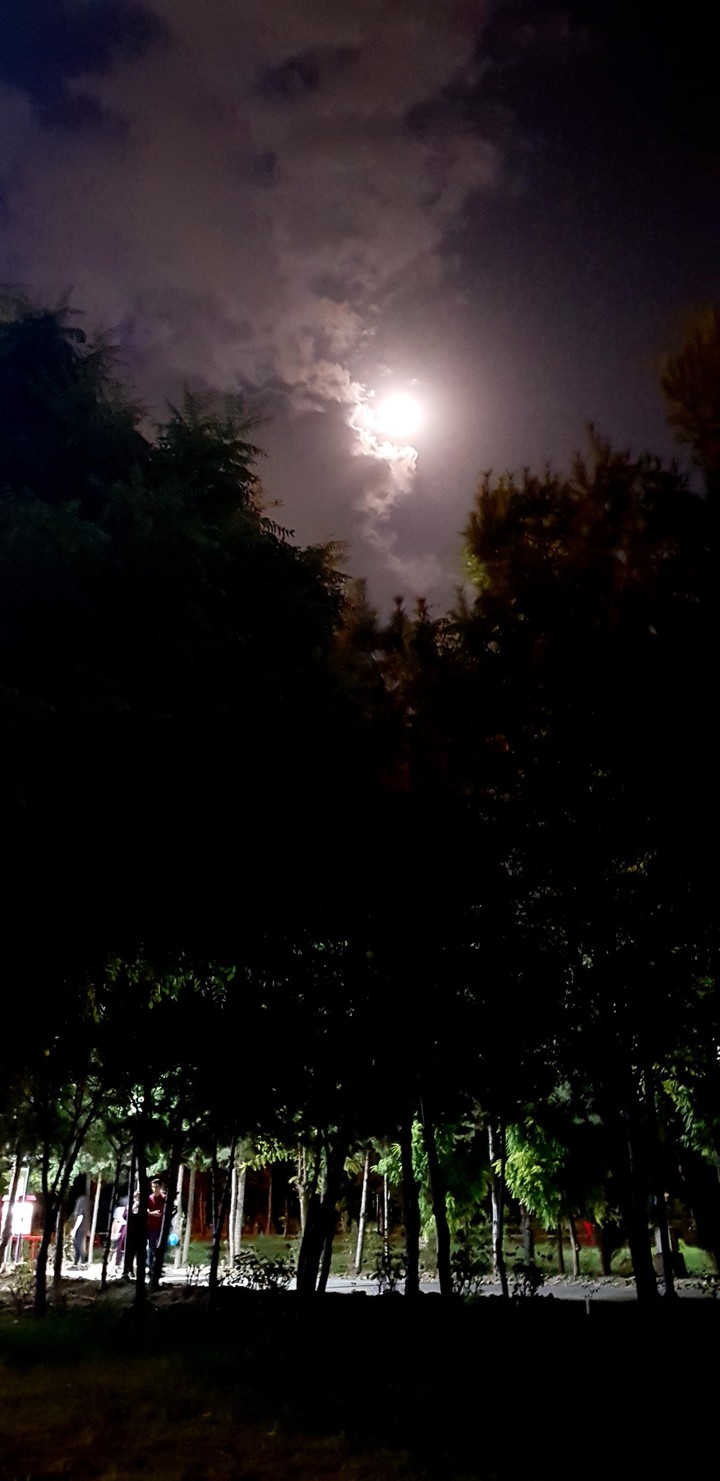 Calm Night
