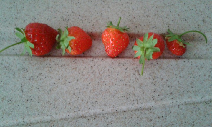 Erdbeeren