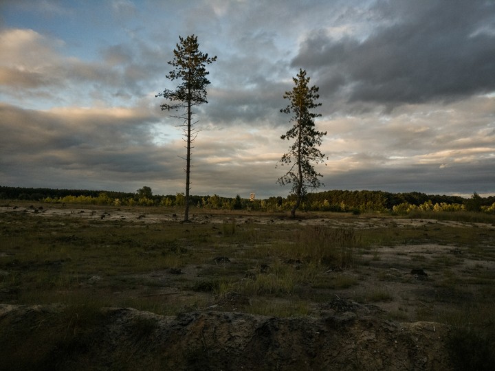 silence