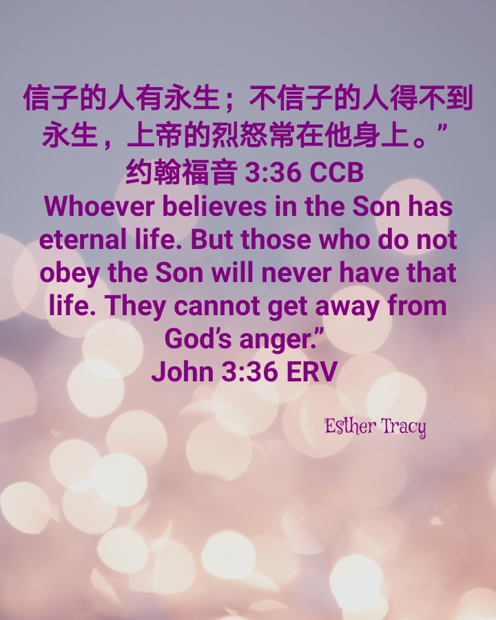 believes in the Son has eternal life
