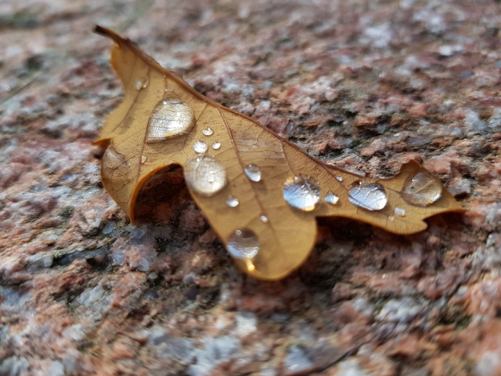 water drops