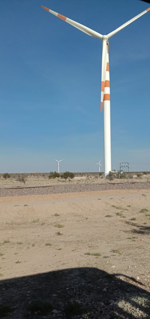windmills