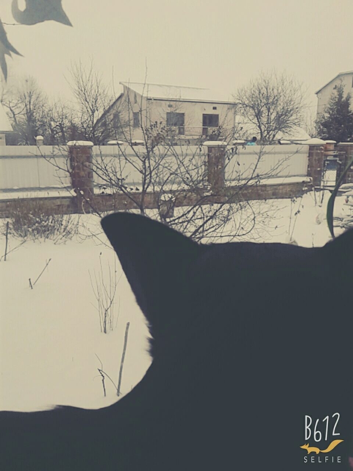 н