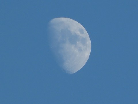 moon