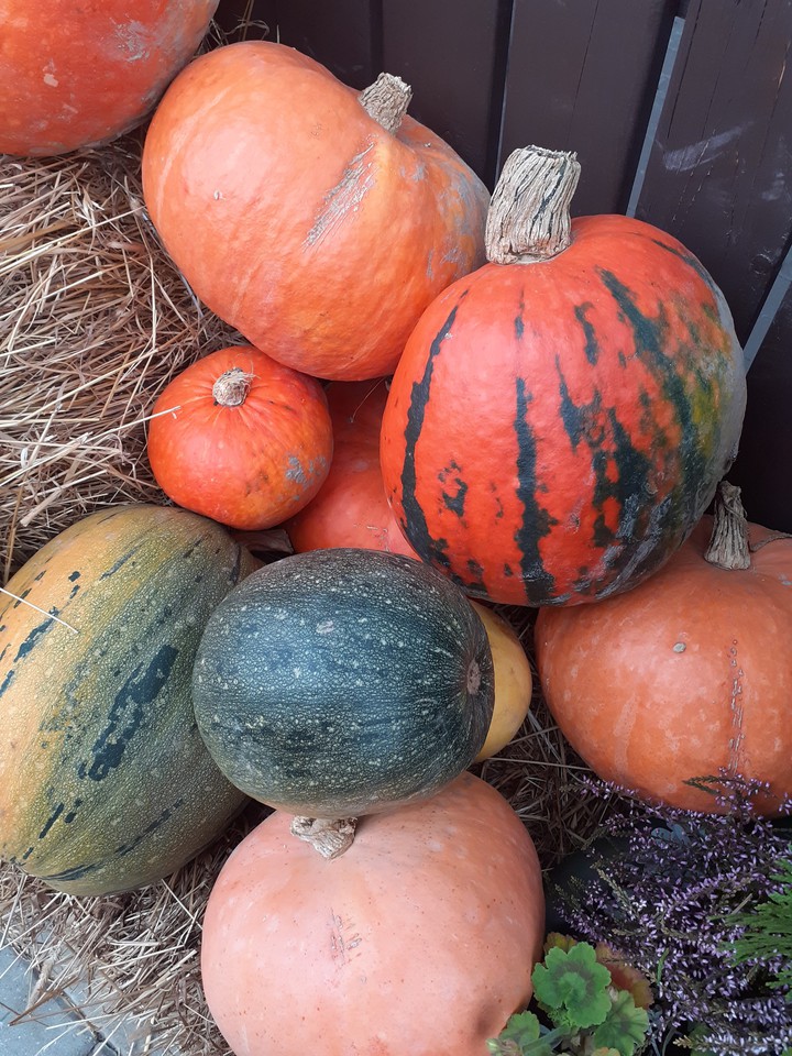 Pumpkins