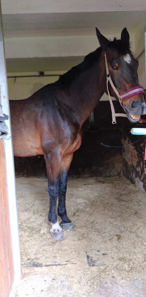 Hors ??