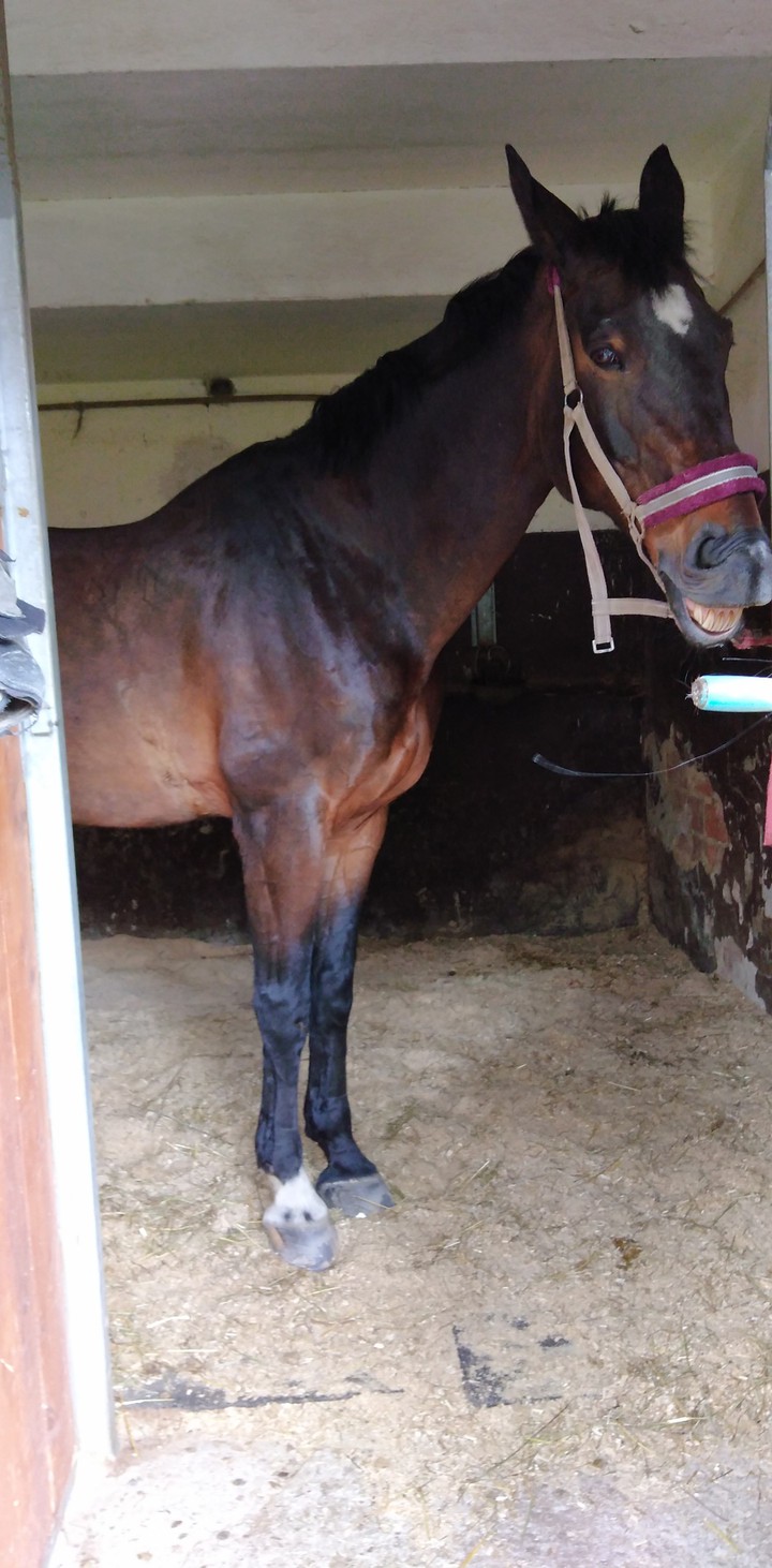Hors ??