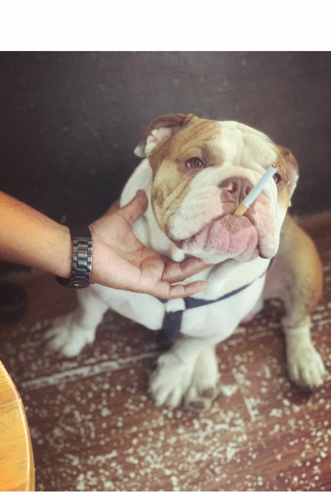 come bro let's have a smoke