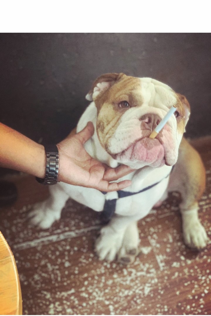 come bro let's have a smoke