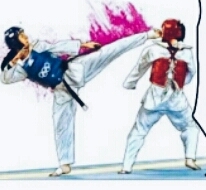 taekwondo