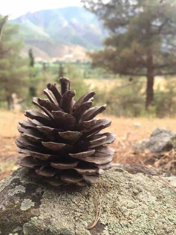Tovuz Azerbaijan