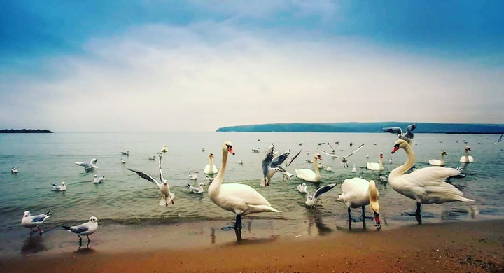 by the sea