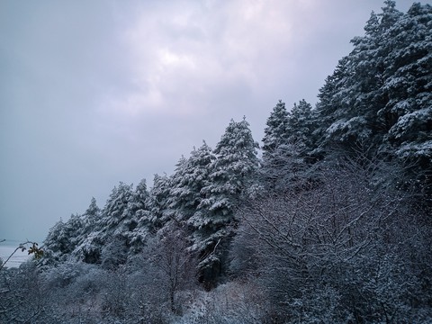 Winter