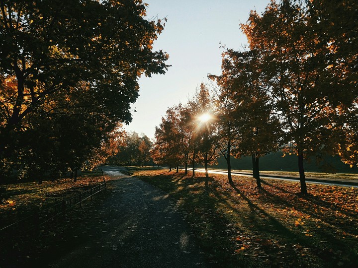 осеннее утро ☀