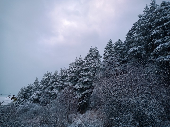 Winter
