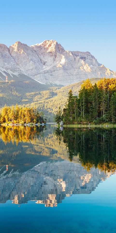 il bosco sul lago