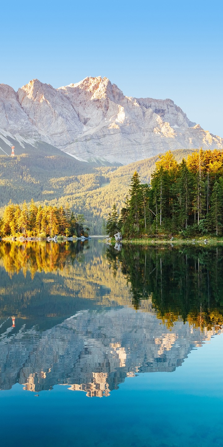 il bosco sul lago