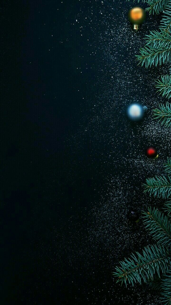 Happy New Year Trees