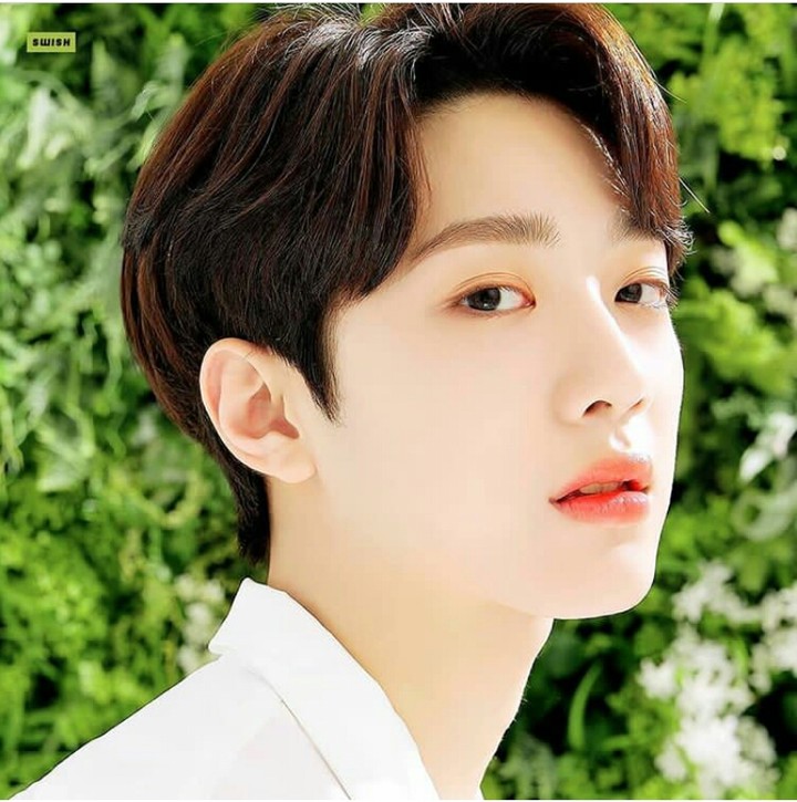 wanna one lai kualin