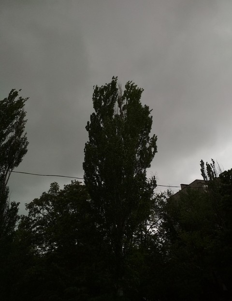 Rainy day