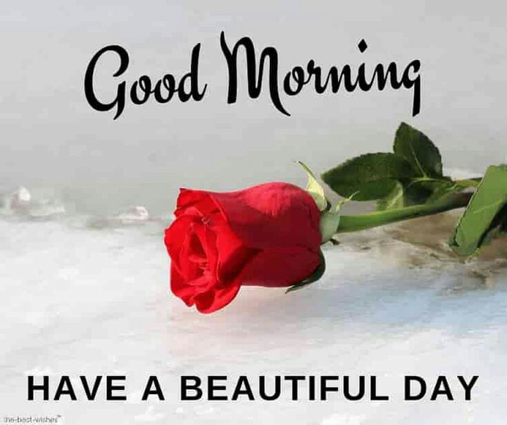 good morning