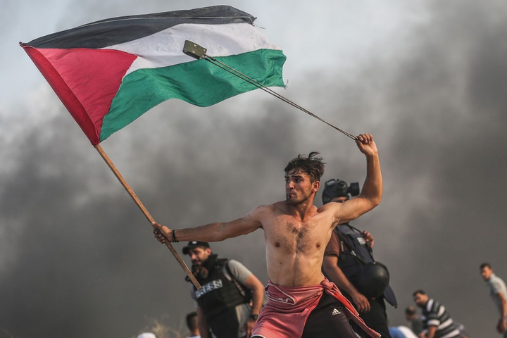 free palestine
