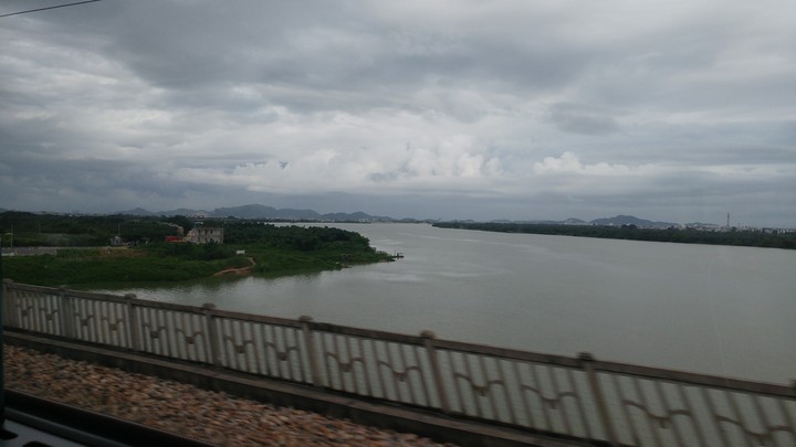 view