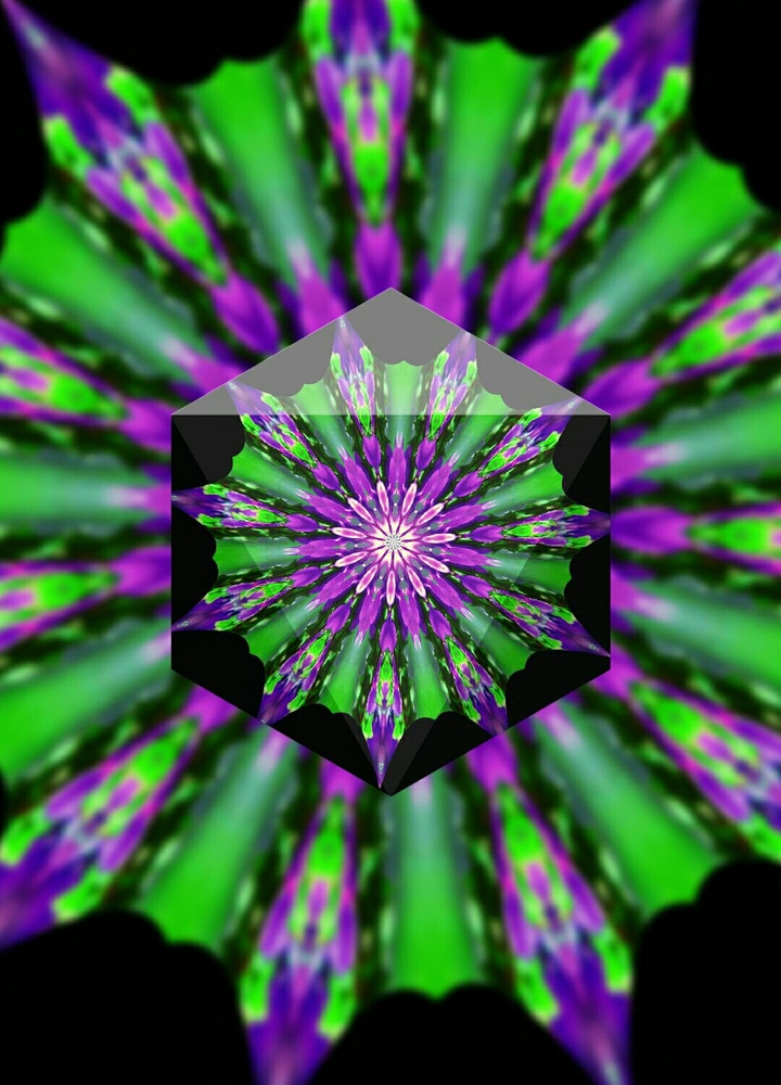 butterflies kaleidoscope
