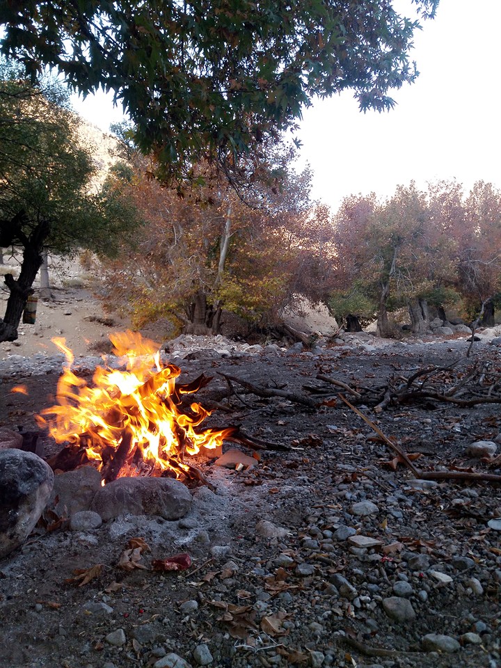 fire worshipper