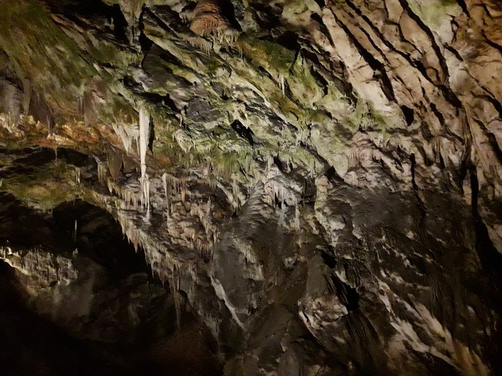 in Postojna cave