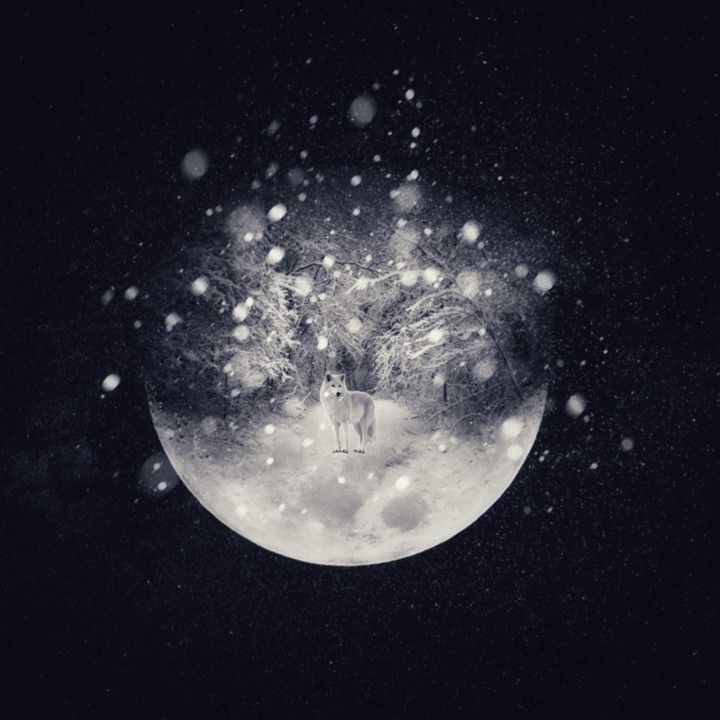 moon