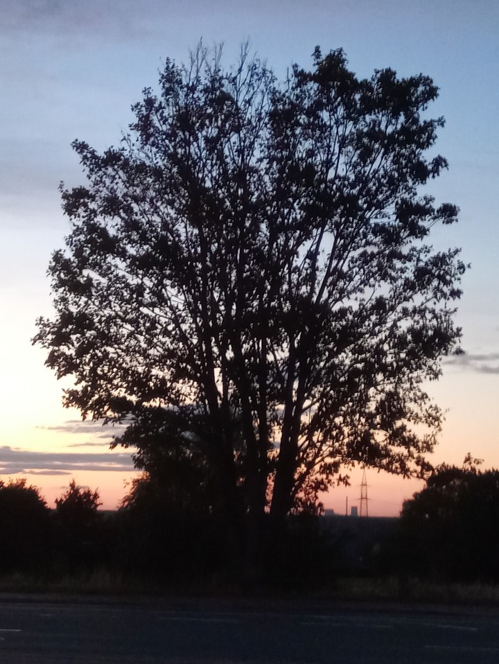 dawn
