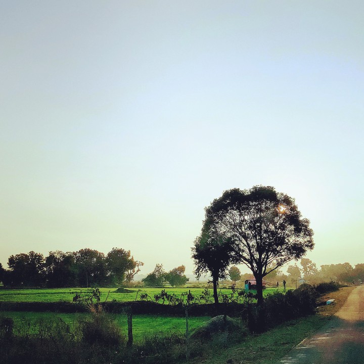 Village Road