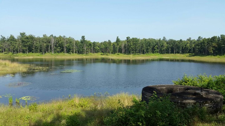 lake