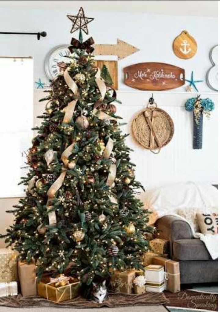 merry chiristmas