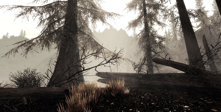 ashen forest