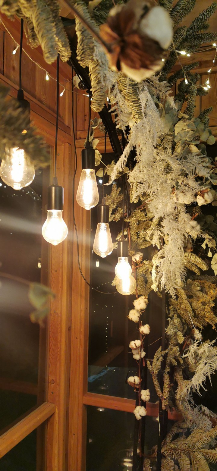 Light in the forest