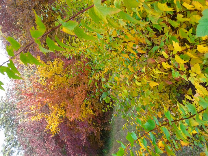 beginning of autumn